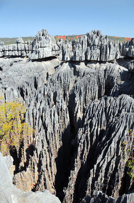 马达加斯加的Tsingy de Bemaraha